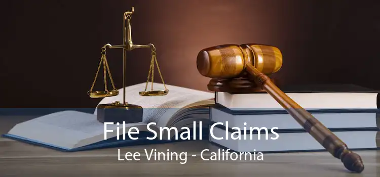 File Small Claims Lee Vining - California