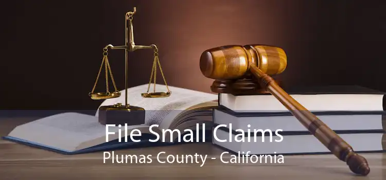 File Small Claims Plumas County - California