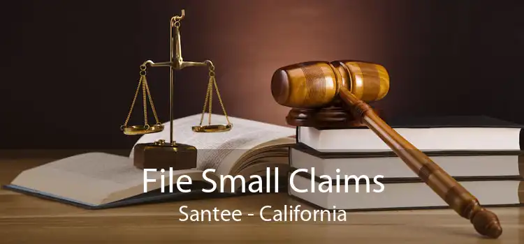 File Small Claims Santee - California