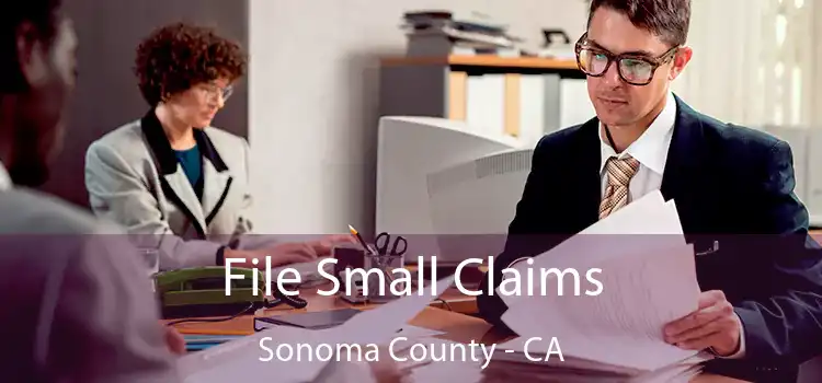 File Small Claims Sonoma County - CA