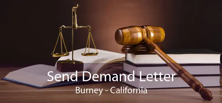 Send Demand Letter Burney - California
