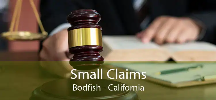 Small Claims Bodfish - California