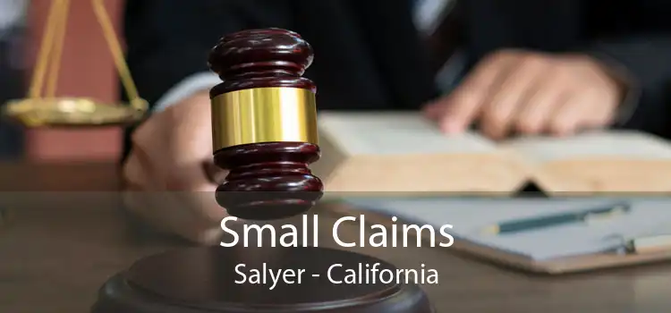 Small Claims Salyer - California
